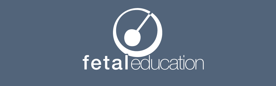 Fetaleducation – unsere Fortbildungsplattform